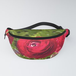Trio of Red Persian Tecolote Ranunculus Flowers by Reay of Light Photography Fanny Pack