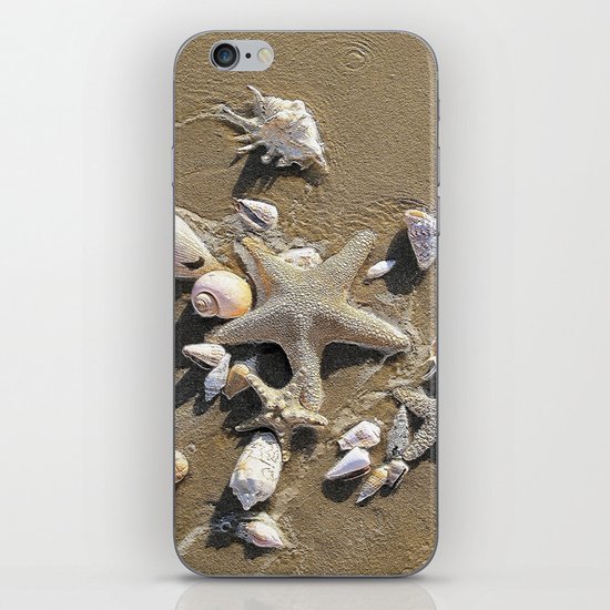 Sun, Sea, Sand, Shells, Star, Summer iPhone & iPod Skin