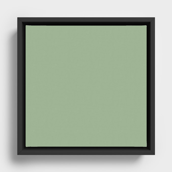 Framed Canvas