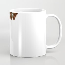 (Spruce or Fir) Cones Coffee Mug | Photo, Digital, Nature 