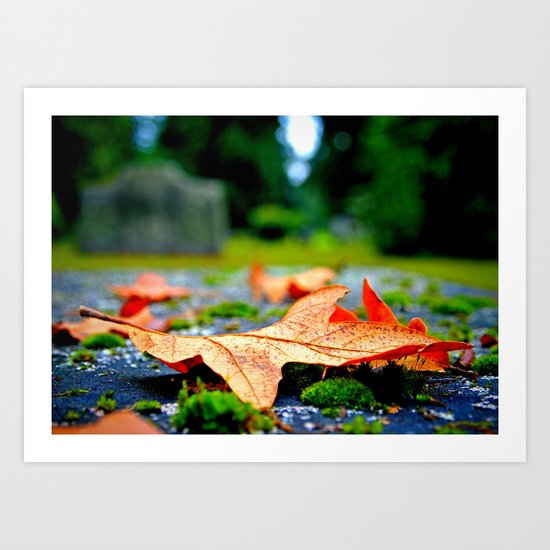Late Autumn leaf Art Print