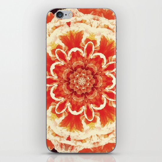 Serie Klai 005 iPhone & iPod Skin