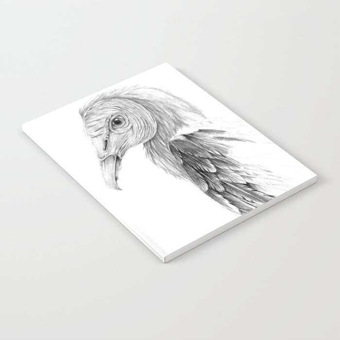 Black Vulture Notebook