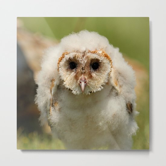 I need a comb Metal Print