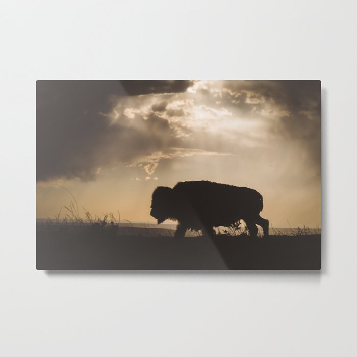 Bison in the Storm - Badlands National Park Metal Print