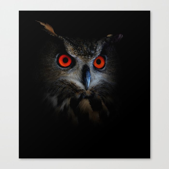 eagle owl Canvas Print