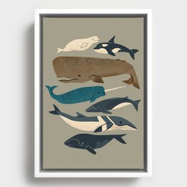 Whales Ahoy (Gray) Framed Canvas