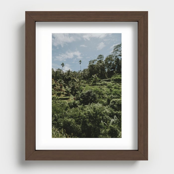 Rice fields - Ubud - Bali Recessed Framed Print