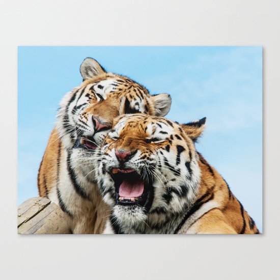 TIGERS - DOUBLE TROUBLE Canvas Print