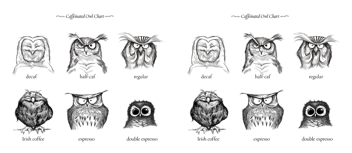 Coffee Owl Chart