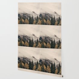 Banff national park foggy mountains and forest in Canada Wallpaper