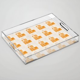 Block Pattern Suitcases with Travel Stickers in Orange Acrylic Tray
