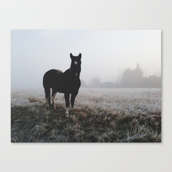 Frosty Klamath Horse Canvas Print