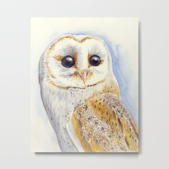 Owl bird Metal Print