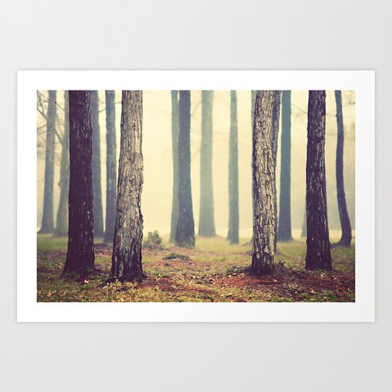 Woods Art Print