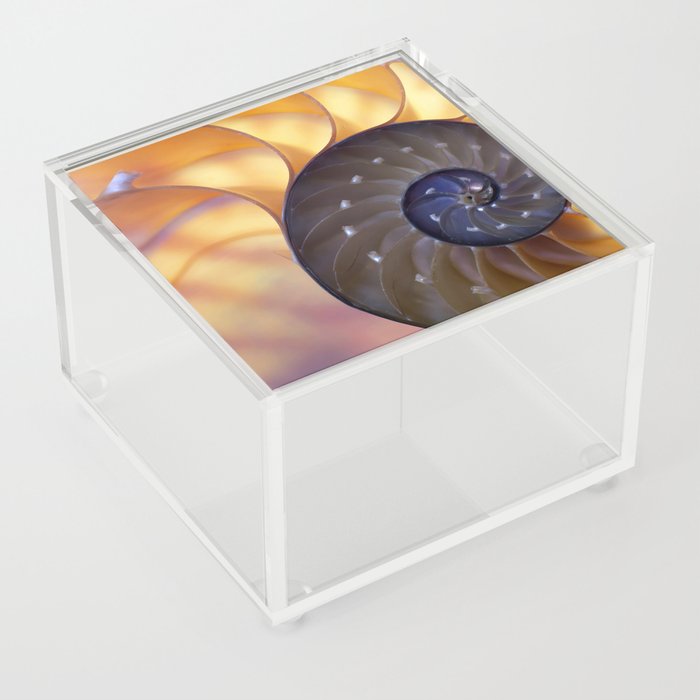 Macro Seashell Acrylic Box