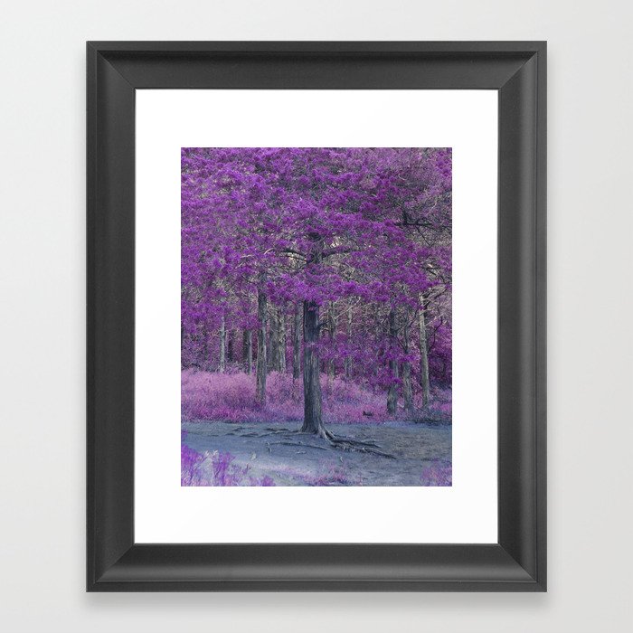 Purple Tree Framed Art Print