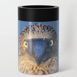 Blue footed booby Can Cooler