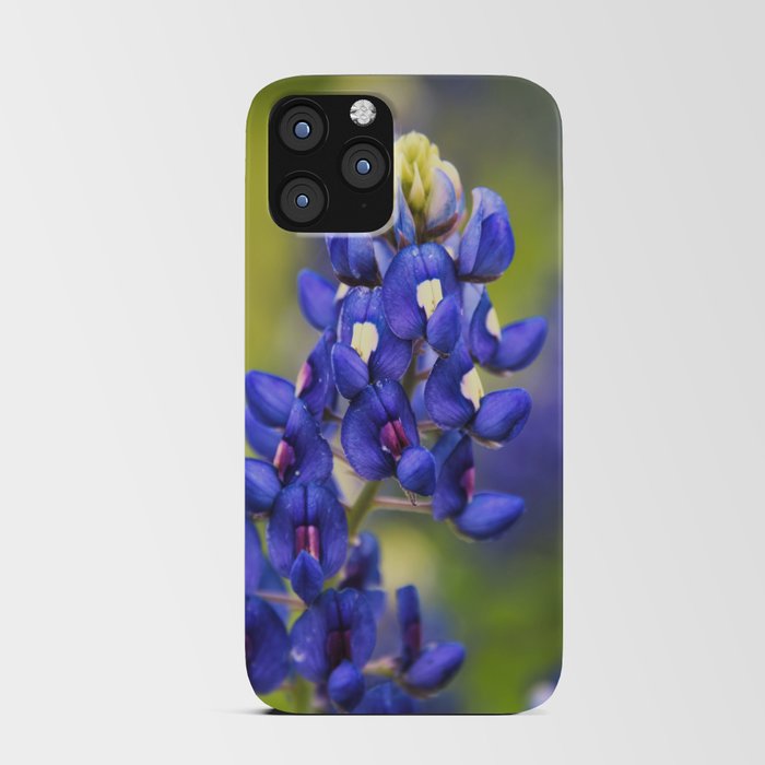 Texas Bluebonnets 18 iPhone Card Case