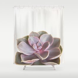 Purple Succulent Shower Curtain