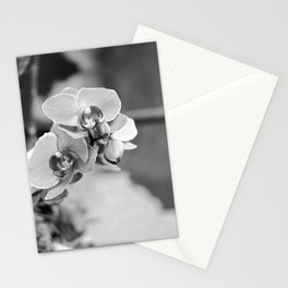 Orchid Growing Near A Buddhist Temple Black And White Stationery Card