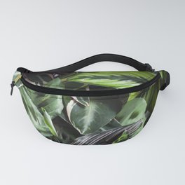 Prayer Plants IV  |  The Houseplant Collection Fanny Pack
