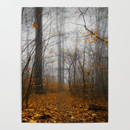 The Grey and the Yellow - Moody Forest in Fal Poster