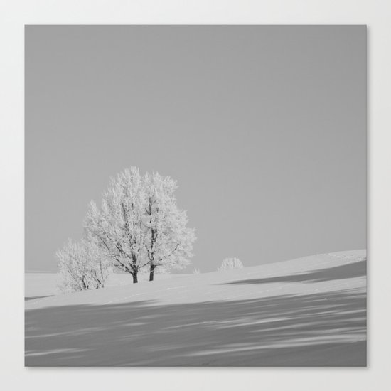 winter Canvas Print