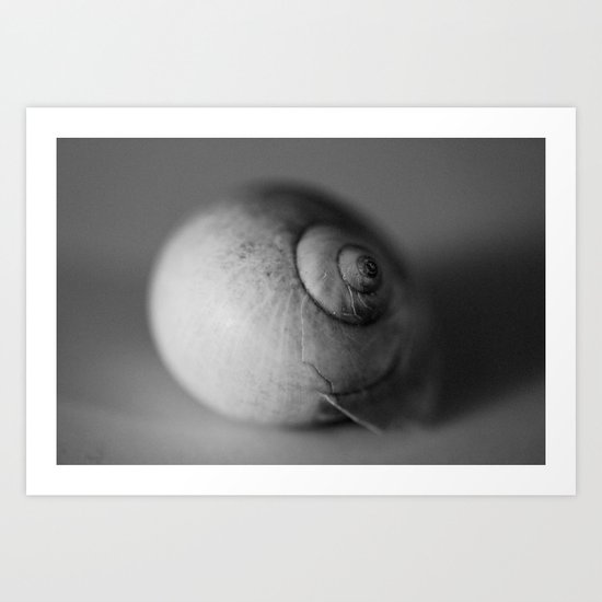 Seashell Art Print