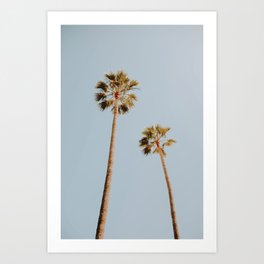 two palm trees xii Art Print