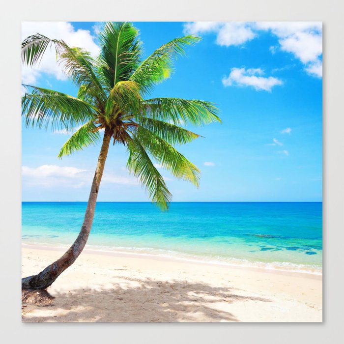 palm tree by the beach Canvas Print Canvas Print