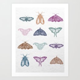 Watercolour Moths Art Print | Digital, Butterfly, Mothillustration, Mothprint, Pattern, Moth, Insectart, Insectillustration, Painting, Butterflies 