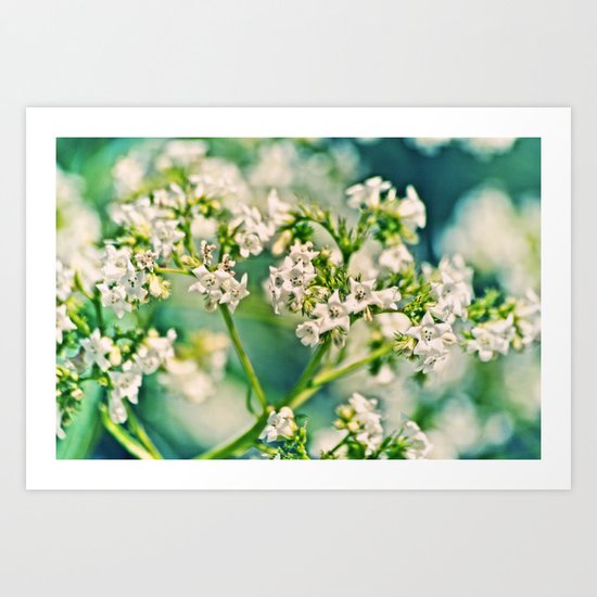 Lulling Dream... Art Print