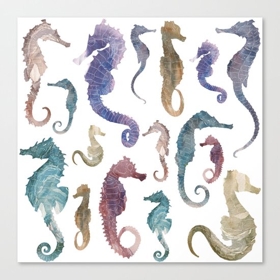 Colorful Seahorses Canvas Print