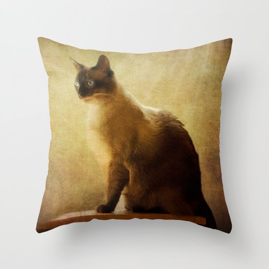 Stoney Throw Pillow