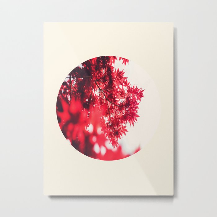 Transparent Red Japanese Maple Round Photo Metal Print