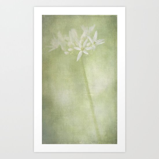 Wild Garlic Art Print