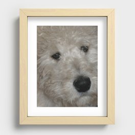 Cute Goldendoodle Puppy Dog Portrait Recessed Framed Print