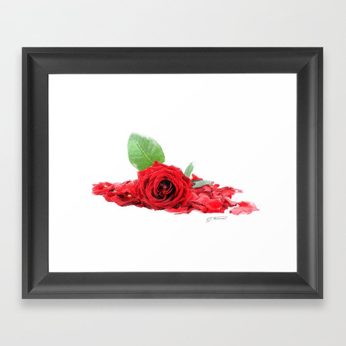 Red Roses Framed Art Print