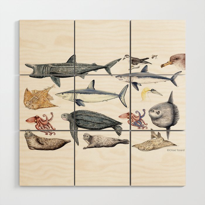 Marine wildlife Wood Wall Art