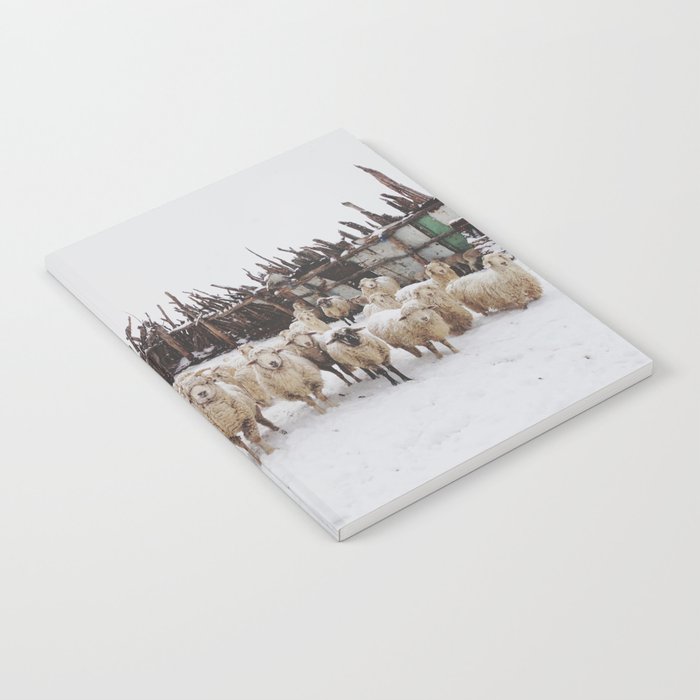 Snowy Sheep Stare Notebook
