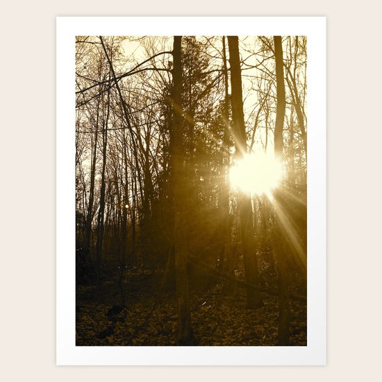 Trail of Old Art Print