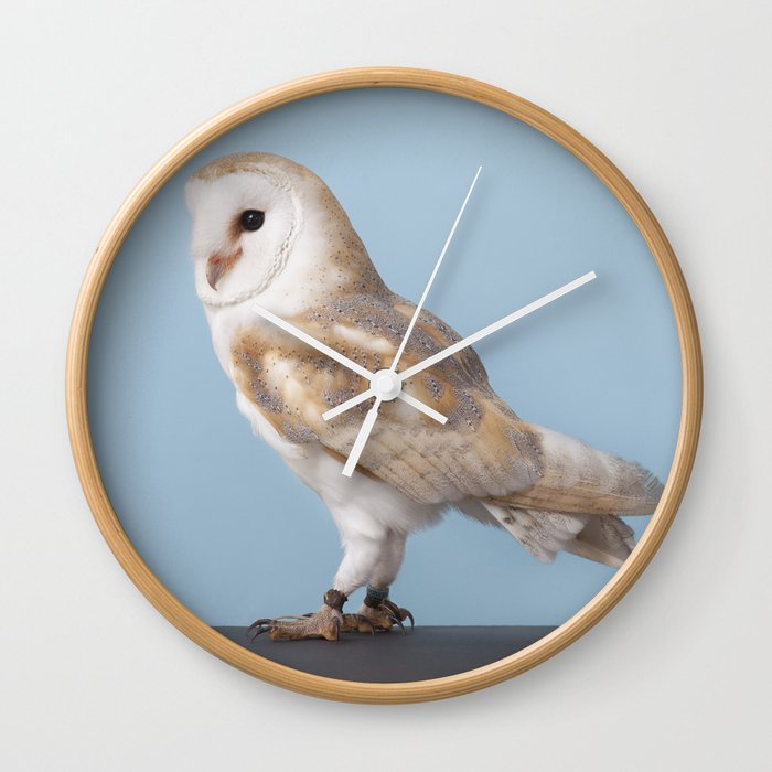 Fizz The Barn Owl Limited Edition Print Wall Clock By Josephfox