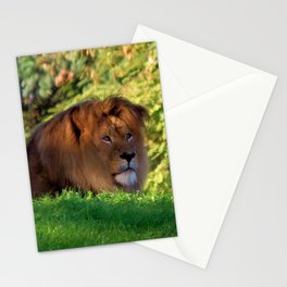 King of the Jungle - Lion deep in thought Stationery Cards