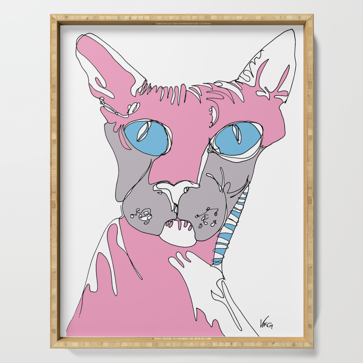 Blue Eyed Hairless Cat Serving Tray By Virginiavangaalen Society6