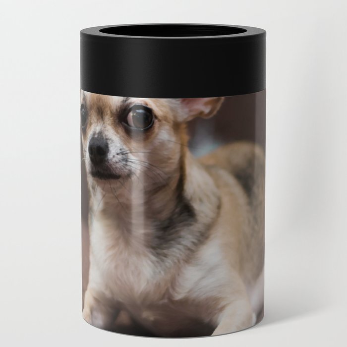 Chihuahua Puppy Dog Spitz  Can Cooler
