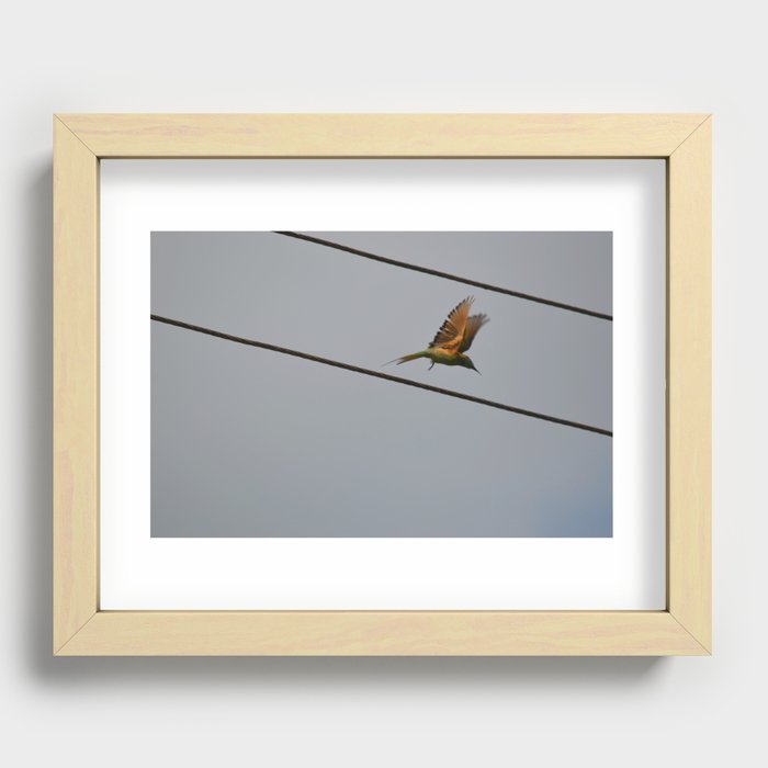 bird between the wires Recessed Framed Print