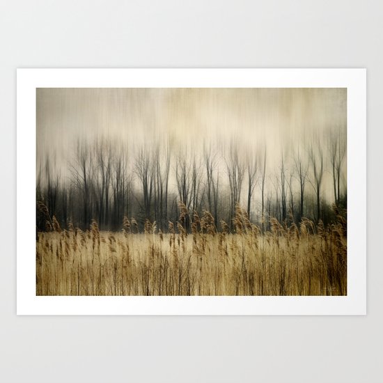Marsh Edge Art Print
