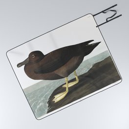 Dusky albatros, Birds of America, Audubon Plate 407 Picnic Blanket