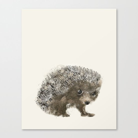 little hedgehog Canvas Print